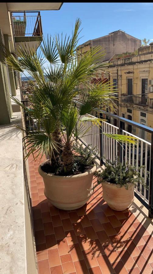 Near Ortigia Bed & Breakfast